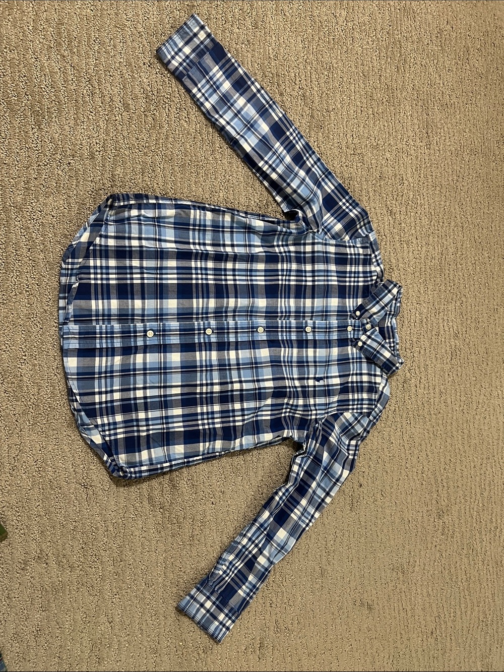 Polo by Ralph Lauren Blue and White Plaid Button-Down Shirt